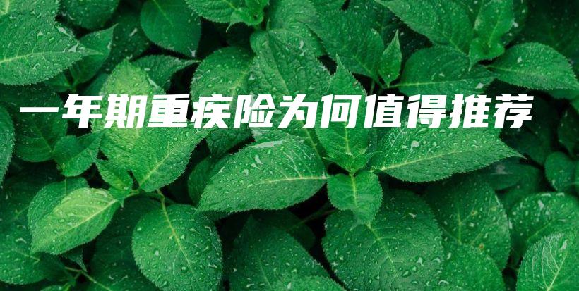 一年期重疾险为何值得推荐-保点通