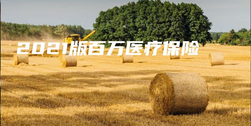 2021版百万医疗保险-保点通