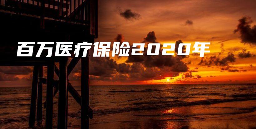 百万医疗保险2020年-保点通