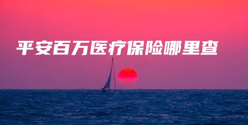 平安百万医疗保险哪里查-保点通