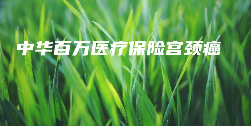 中华百万医疗保险宫颈癌-保点通