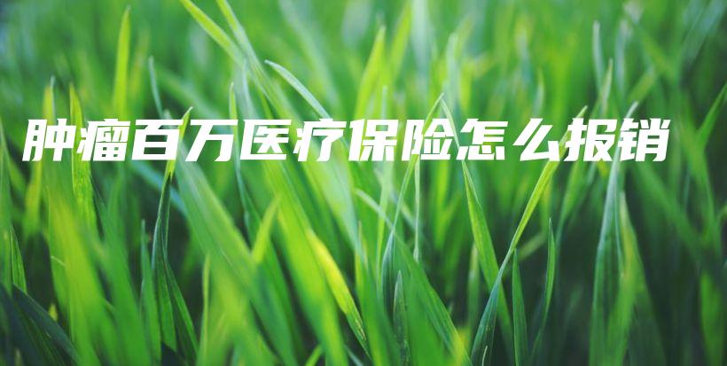 肿瘤百万医疗保险怎么报销-保点通