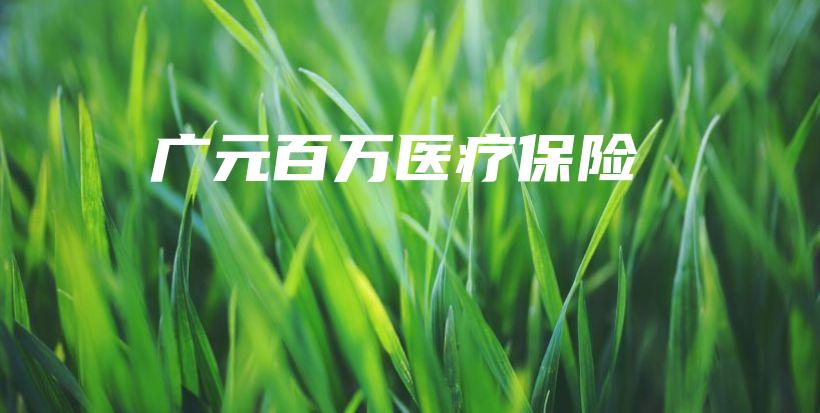 广元百万医疗保险-保点通