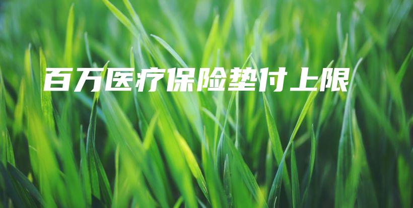 百万医疗保险垫付上限-保点通
