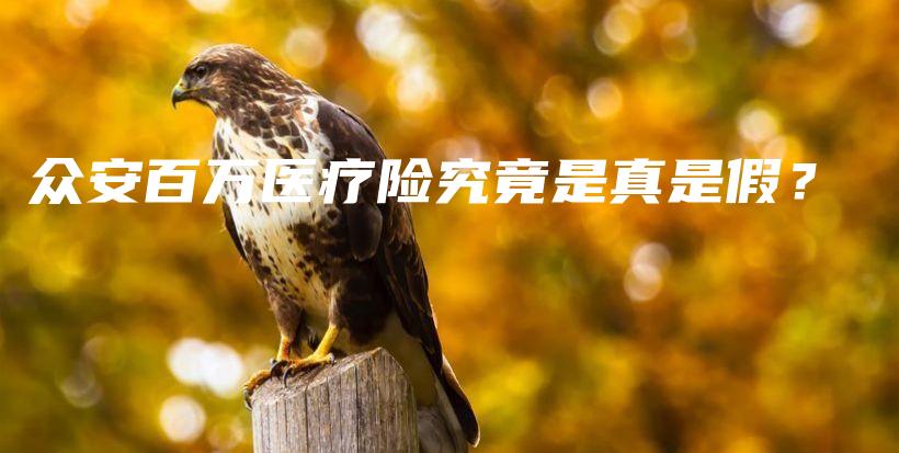 众安百万医疗险究竟是真是假？-保点通