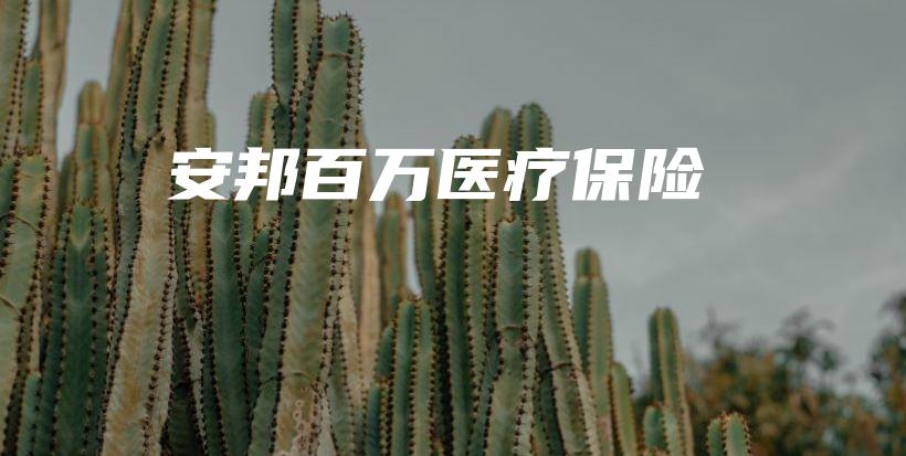 安邦百万医疗保险-保点通