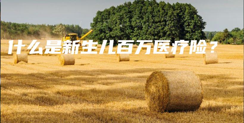 什么是新生儿百万医疗险？-保点通