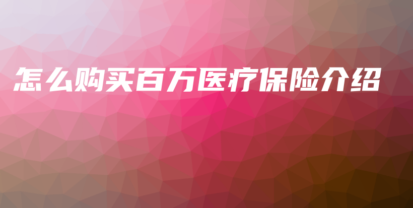 怎么购买百万医疗保险介绍-保点通