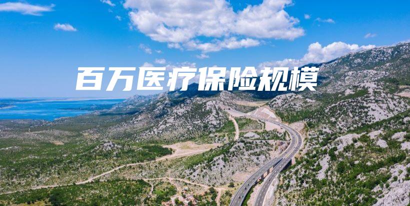 百万医疗保险规模-保点通