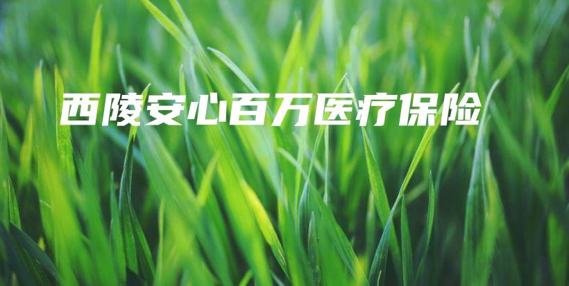 西陵安心百万医疗保险-保点通