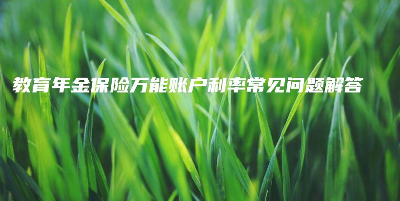 教育年金保险万能账户利率常见问题解答-保点通