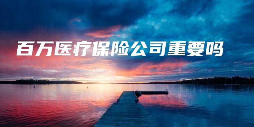 百万医疗保险公司重要吗-保点通