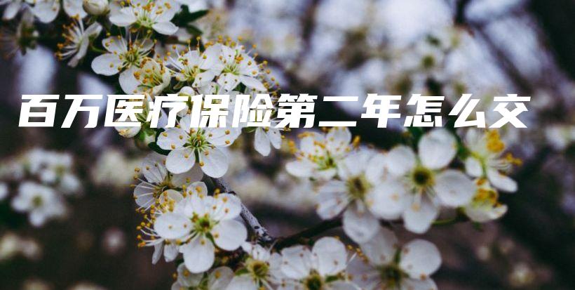 百万医疗保险第二年怎么交-保点通