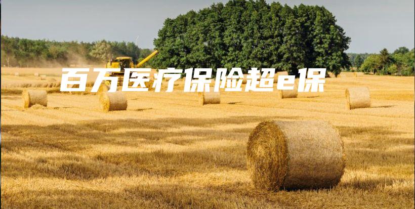 百万医疗保险超e保-保点通