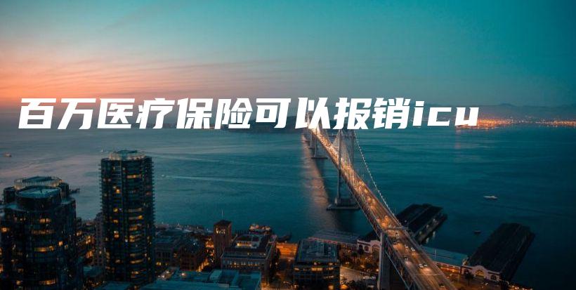 百万医疗保险可以报销icu-保点通