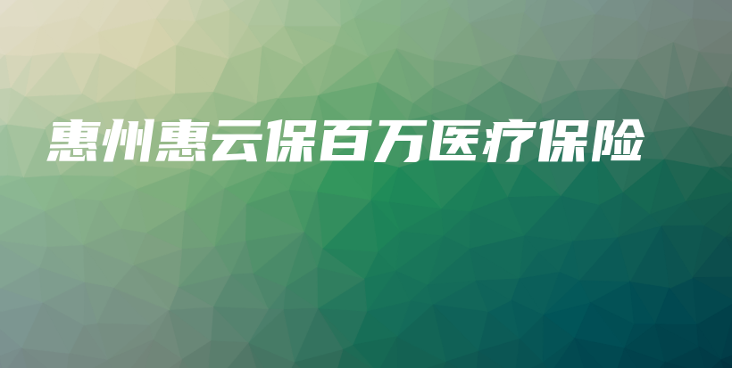 惠州惠云保百万医疗保险-保点通