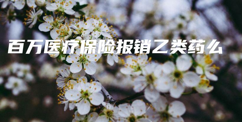 百万医疗保险报销乙类药么-保点通