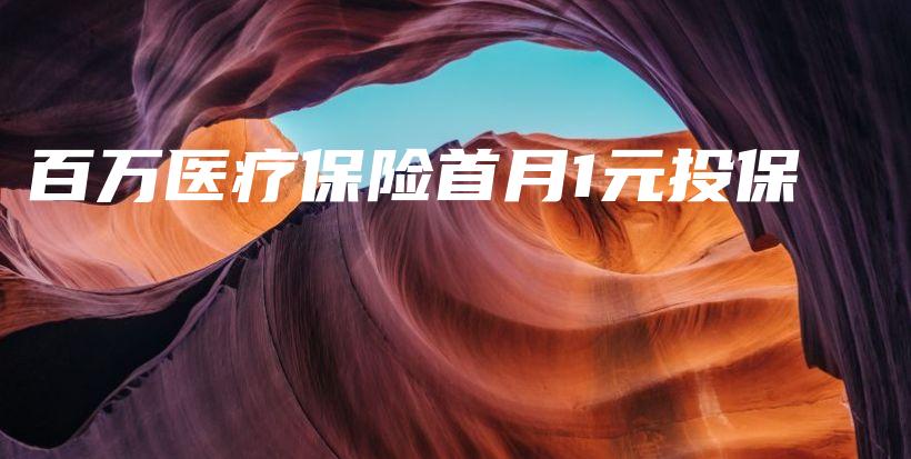 百万医疗保险首月1元投保-保点通