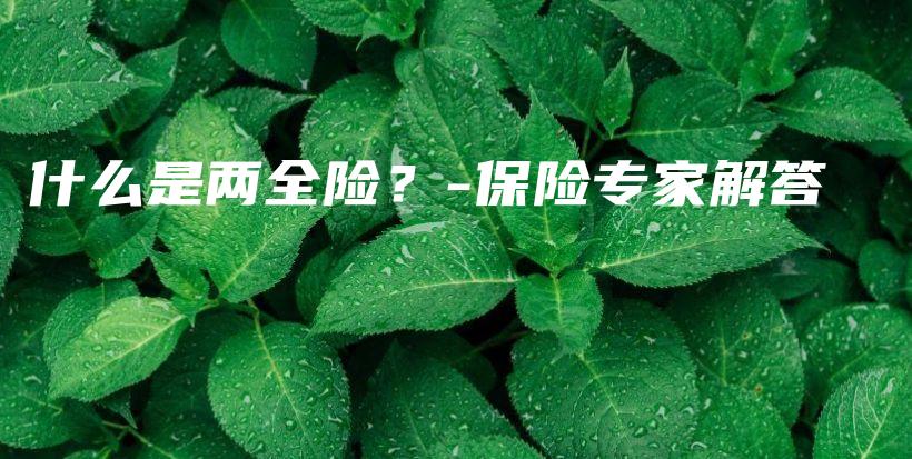 什么是两全险？-保险专家解答-保点通