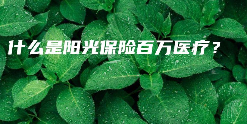 什么是阳光保险百万医疗？-保点通