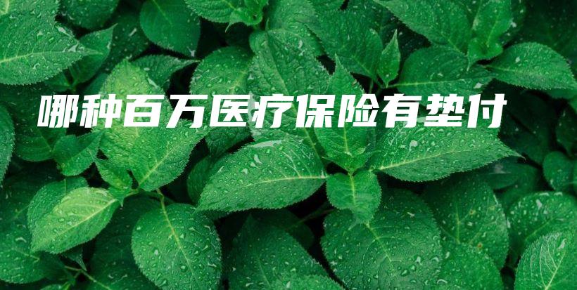 哪种百万医疗保险有垫付-保点通