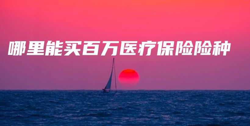 哪里能买百万医疗保险险种-保点通