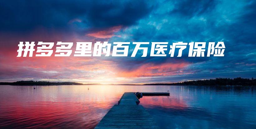 拼多多里的百万医疗保险-保点通