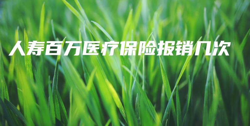 人寿百万医疗保险报销几次-保点通