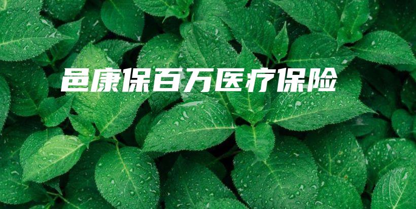 邑康保百万医疗保险-保点通
