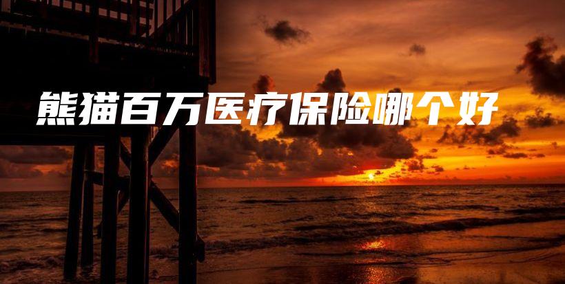 熊猫百万医疗保险哪个好-保点通