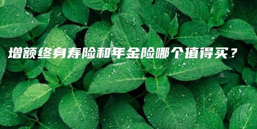 增额终身寿险和年金险哪个值得买？-保点通