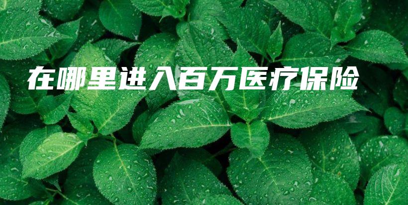 在哪里进入百万医疗保险-保点通