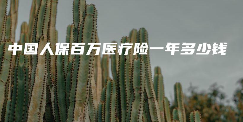 中国人保百万医疗险一年多少钱-保点通