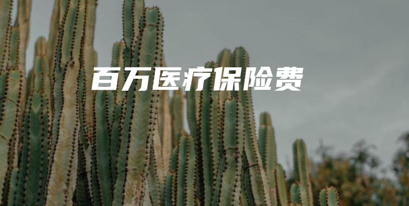 百万医疗保险费-保点通