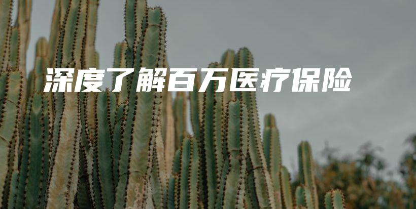 深度了解百万医疗保险-保点通