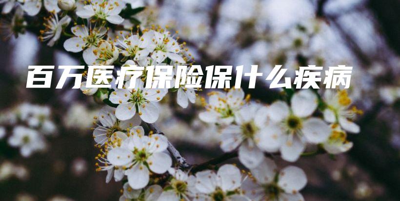 百万医疗保险保什么疾病-保点通
