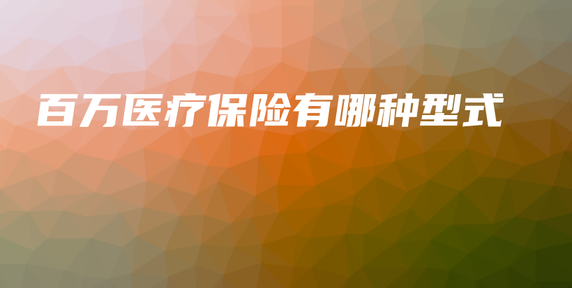 百万医疗保险有哪种型式-保点通
