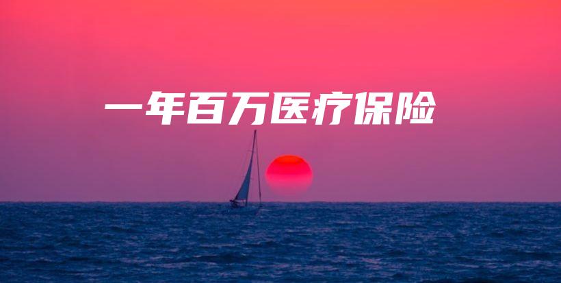 一年百万医疗保险-保点通