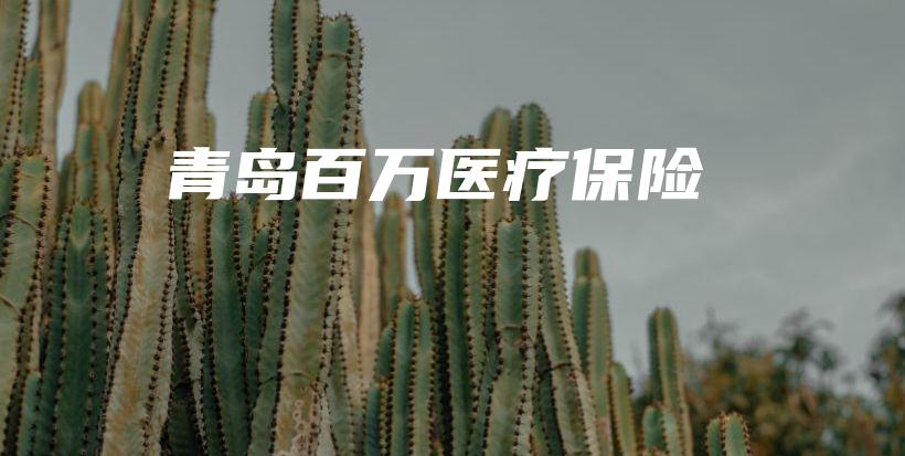 青岛百万医疗保险-保点通