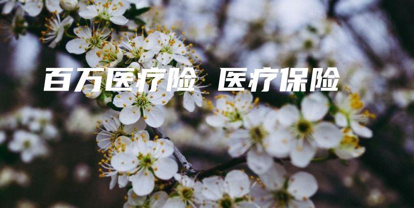 百万医疗险 医疗保险-保点通
