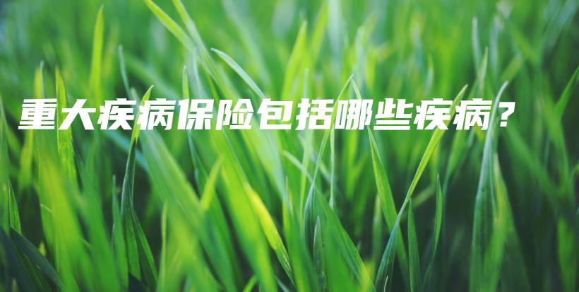 重大疾病保险包括哪些疾病？-保点通