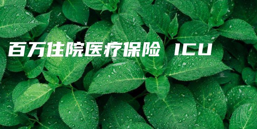 百万住院医疗保险 ICU-保点通