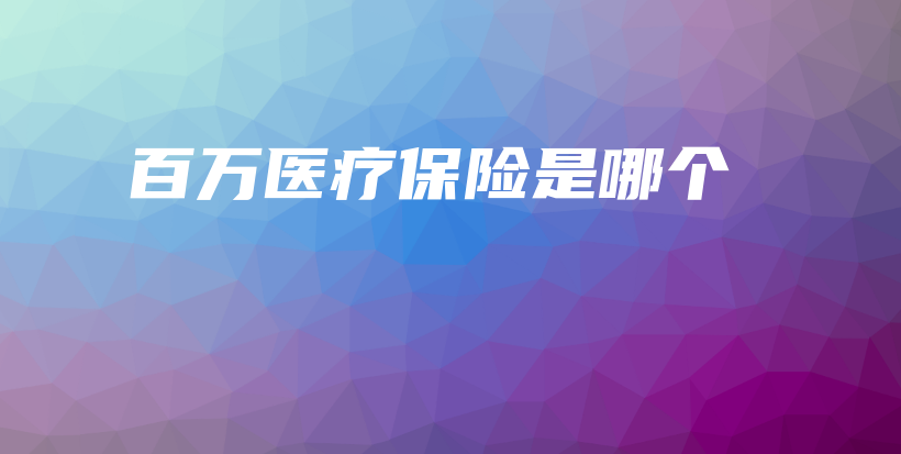 百万医疗保险是哪个-保点通
