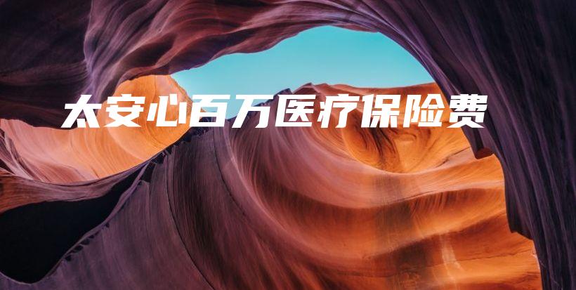 太安心百万医疗保险费-保点通