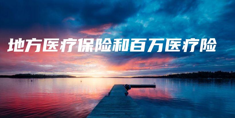地方医疗保险和百万医疗险-保点通