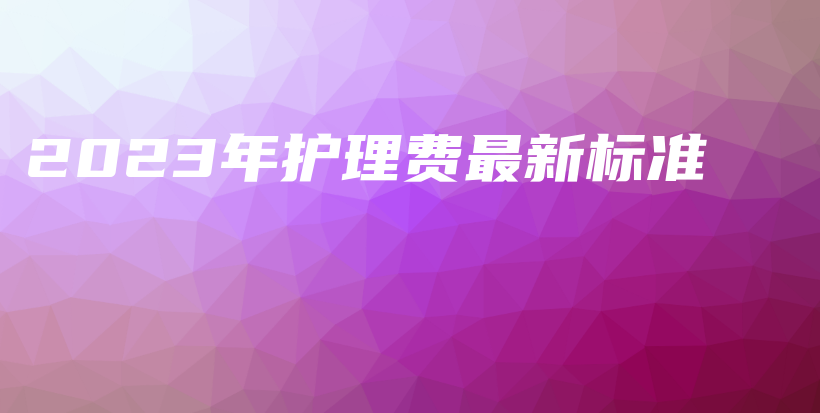 2023年护理费最新标准-保点通