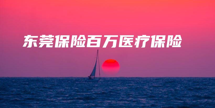 东莞保险百万医疗保险-保点通