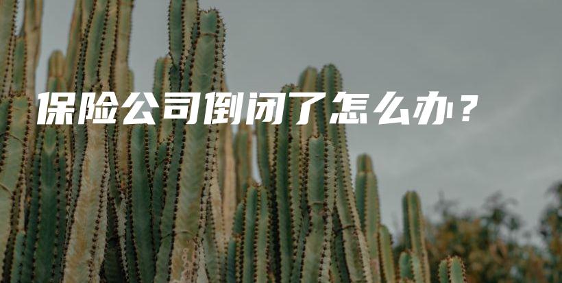 保险公司倒闭了怎么办？-保点通
