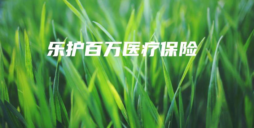 乐护百万医疗保险-保点通