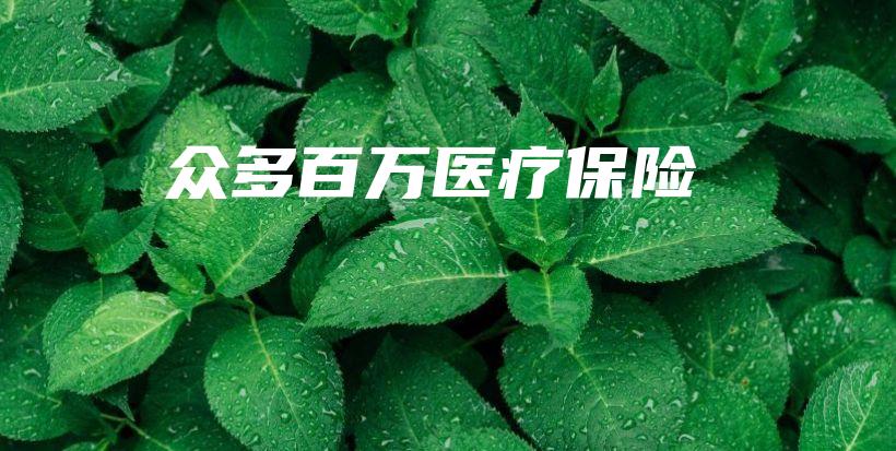 众多百万医疗保险-保点通